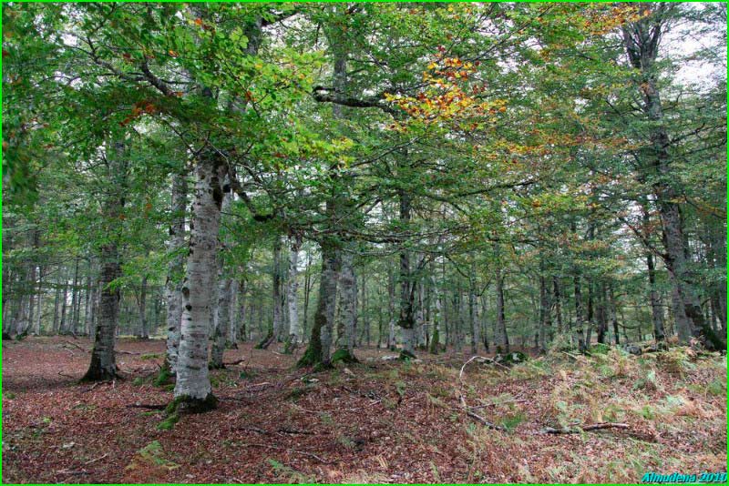 Parque Natural de Izkiz en Vizcaya