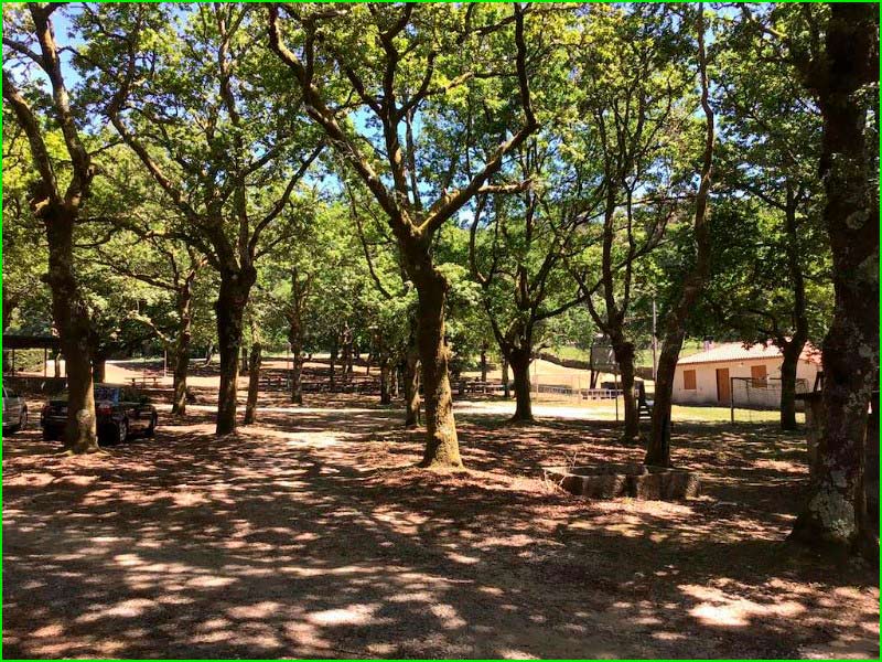 Parque Natural de Cotorredondo en Pontevedra