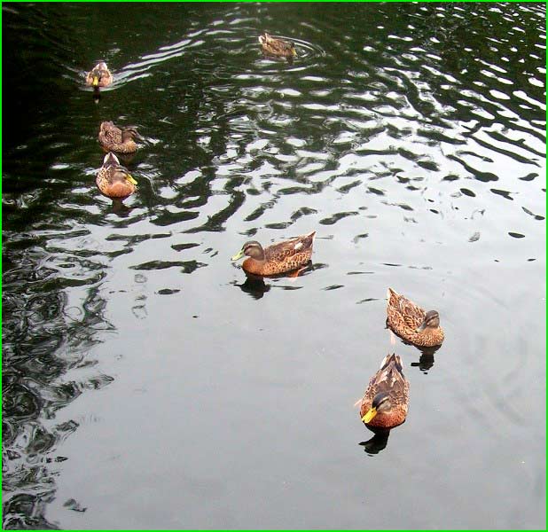 Parque Natural de Cotorredondo en Pontevedra