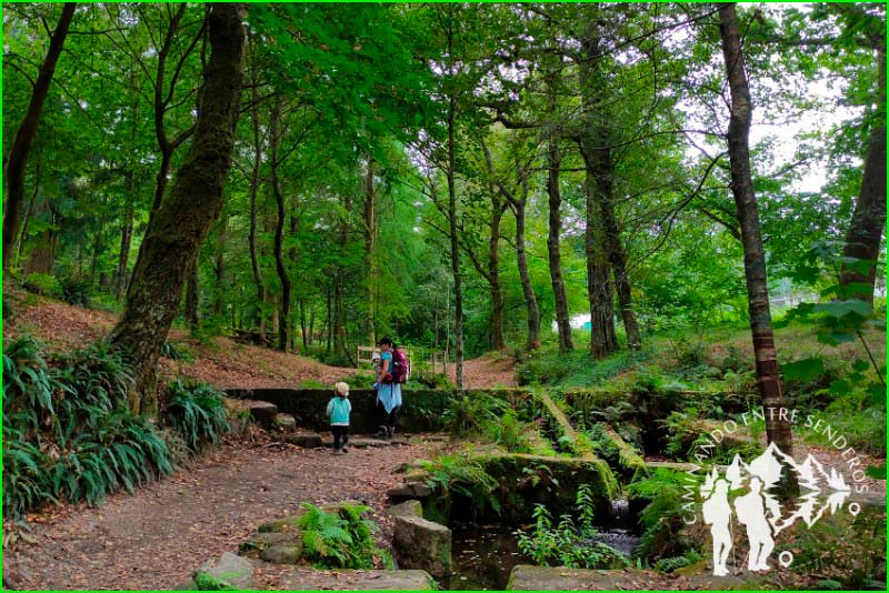 ruta A Carballeira - Vilar - Camaforte en Pontevedra