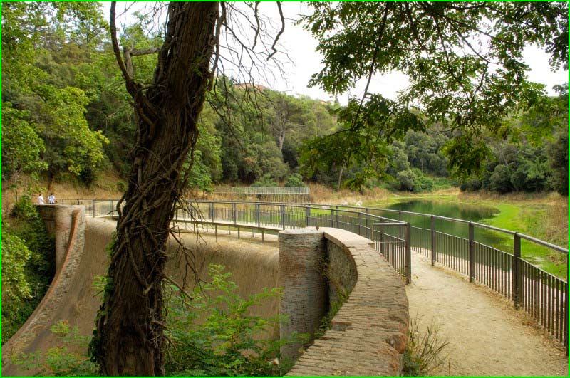 Parc de Collserola en Barcelona