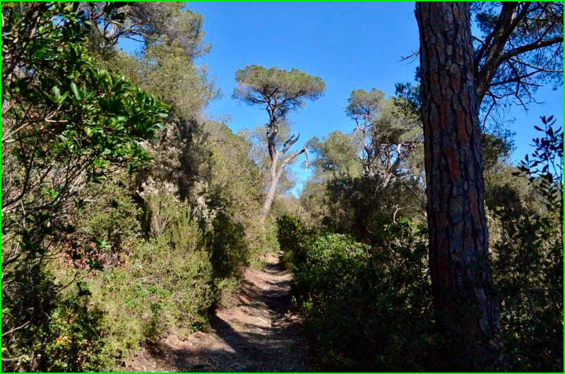 ruta A Vista de Pájaro en Barcelona