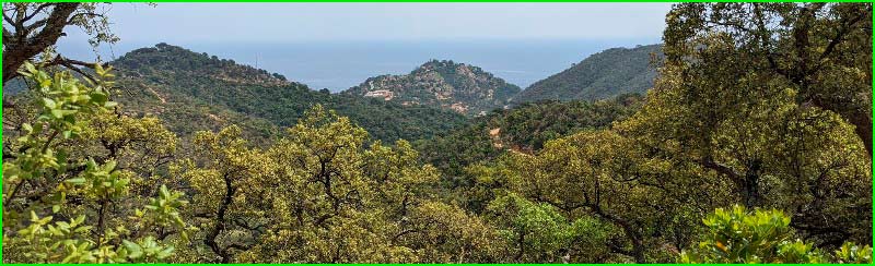 track Abocador de Solius - Puig de Matxacuca - Montclar en Gerona