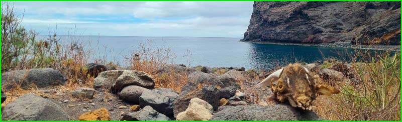 Parque Rural de Teno en Santa Cruz de Tenerife