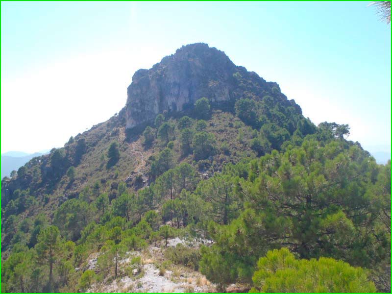Parque Natural de las Sierras de Tejeda en Málaga