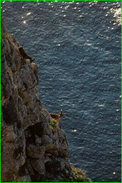 track Acebuchal - Cerro Verde - Collado de los Civiles en Málaga
