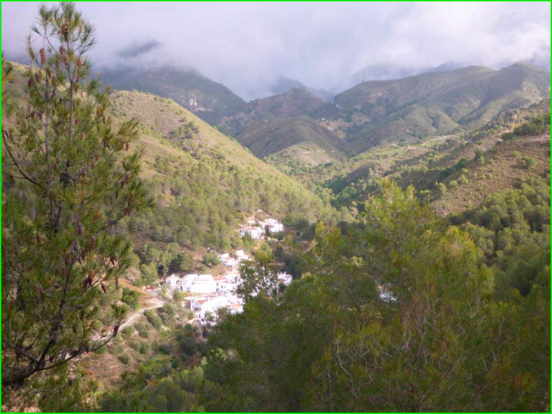 ruta Acebuchal - Puerto Blanquillo - El Pinar en Málaga