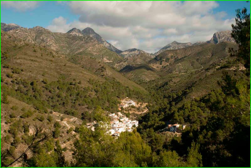 track Acebuchal - Puerto Blanquillo - El Pinar en Málaga