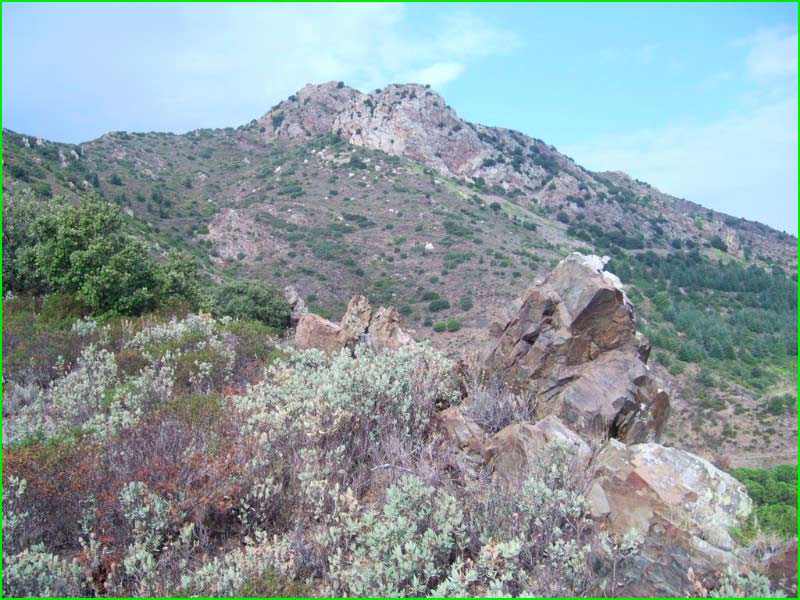 track AE93 Font de la Tanyareda - Coll del Faig en Gerona