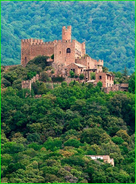 ruta por Paraje Natural de Interés Nacional de la Albera