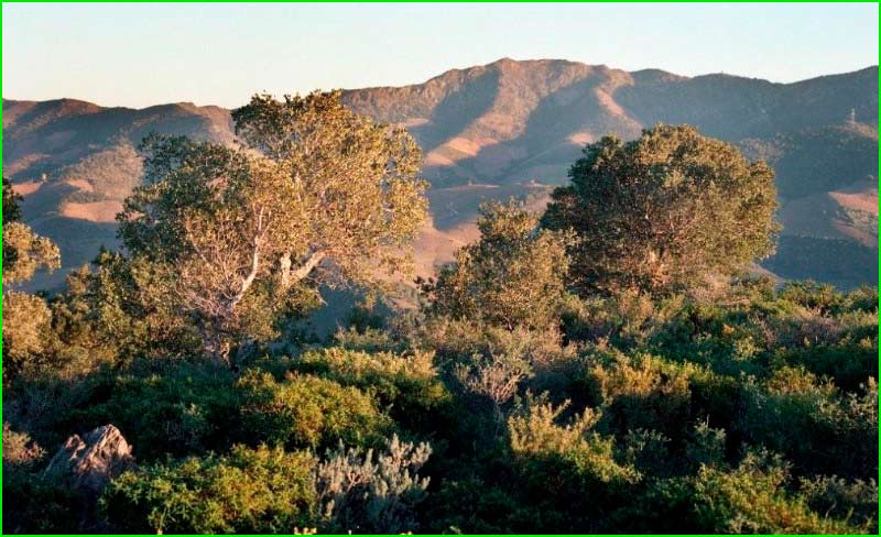 ruta por Paraje Natural de Interés Nacional de la Albera
