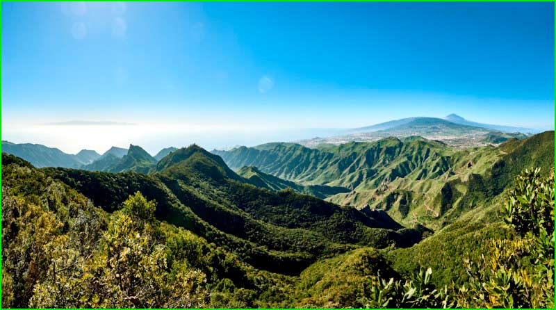 ruta Afur - Mirador Pico del Inglés - Roque Negro en Santa Cruz de Tenerife
