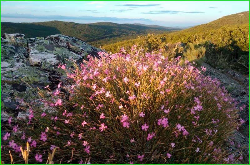 ruta Aguas de Calabor en León, Zamora