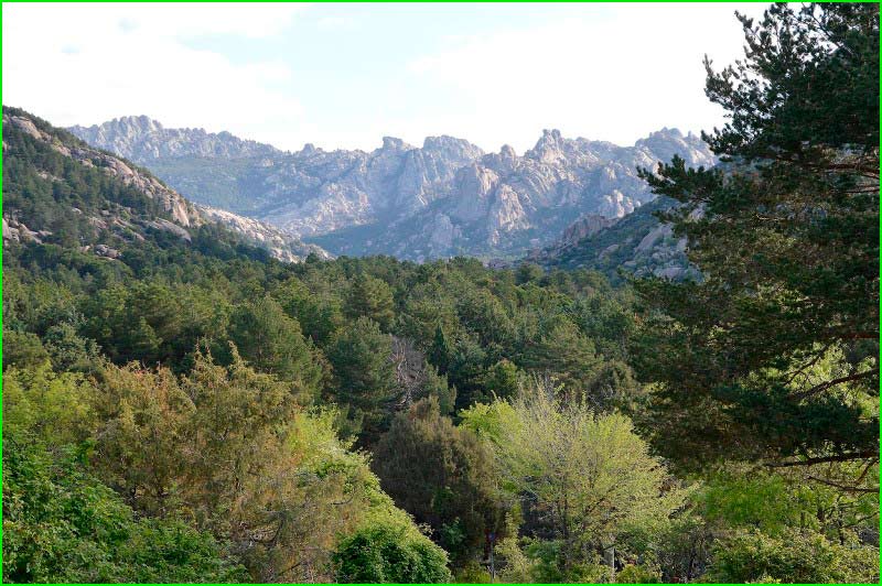 ruta Alcobendas - Bosque de Valdelatas - Valdelas Fuentes en Madrid