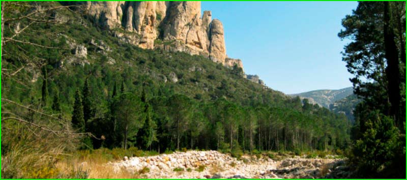 ruta Alfara - Pico Lo Pou Sec - Tossal de Montclí en Tarragona