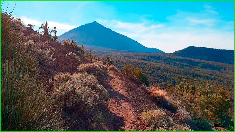 Parque Nacional del Teide en Santa Cruz de Tenerife