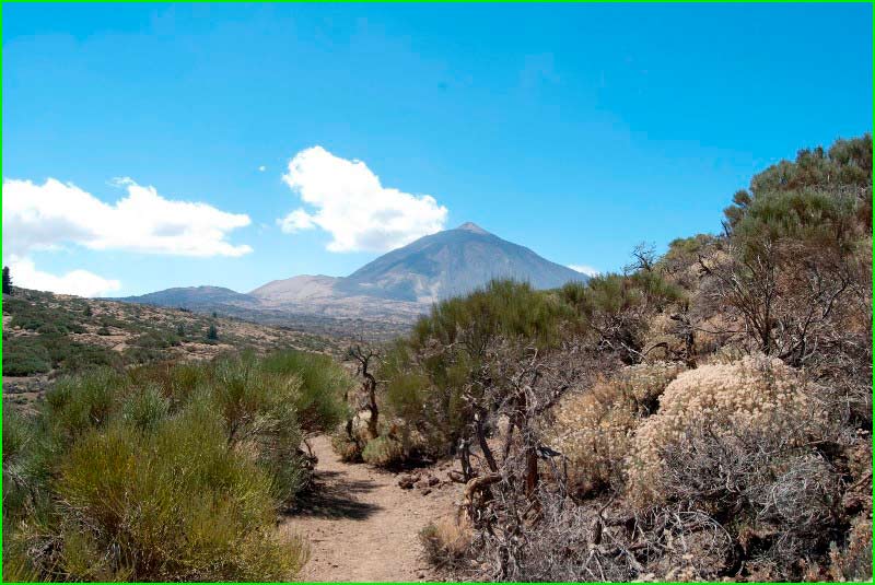 Parque Nacional del Teide en Santa Cruz de Tenerife