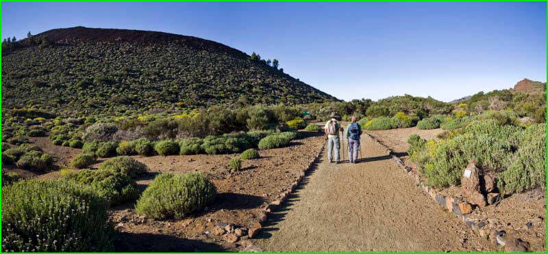 ruta Alto de Guamaso en Santa Cruz de Tenerife