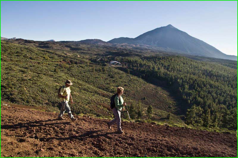 track Alto de Guamaso en Santa Cruz de Tenerife