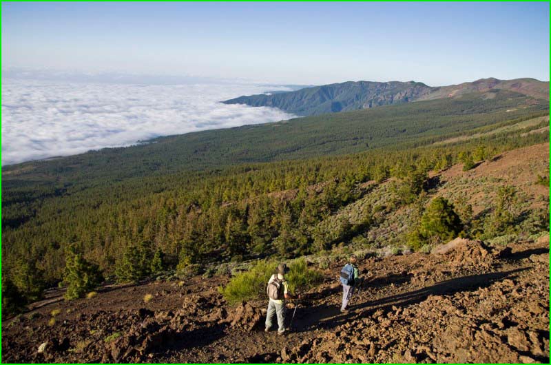 ruta por Parque Nacional del Teide