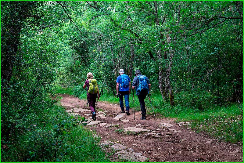 track Alto de Iso - Peña Cornota en Navarra
