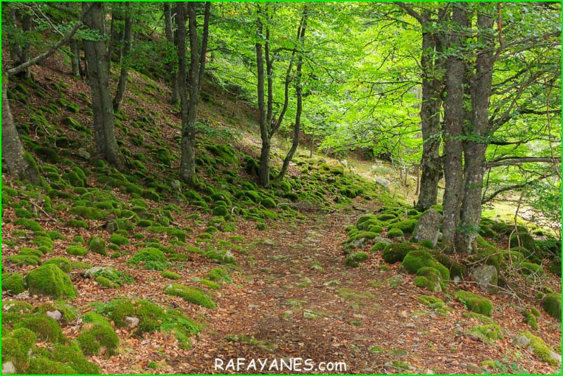 track Alto de la Cueva Grande - Alto de la Gamella - Pico Verde en La Rioja