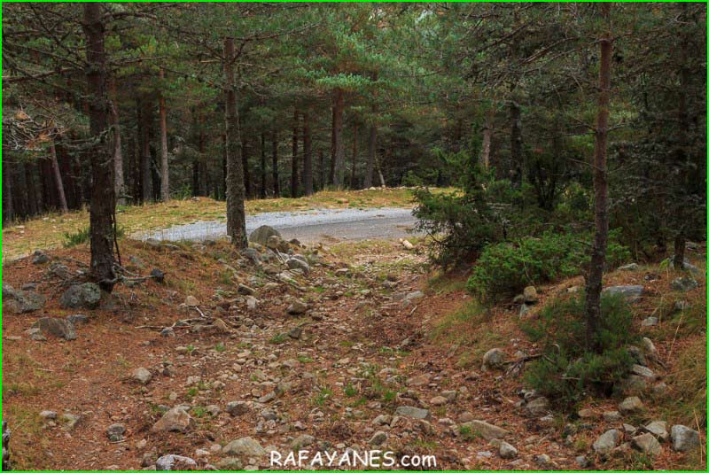 ruta por Parque Natural de la Sierra Cebollera