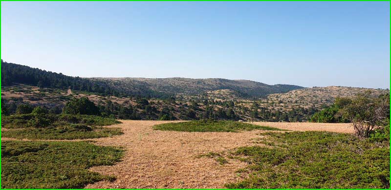 Parque Natural de la Puebla de San Miguel en Valencia
