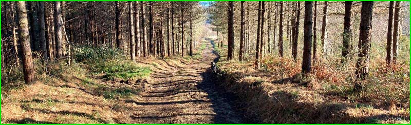 Lasarte-Oria en Guipúzcoa