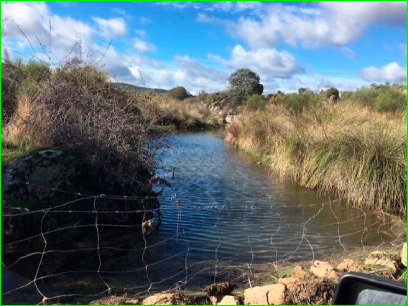 ruta Apalaches Extremeños: Valdelacasa de Tajo - Bohonal de Ibor en Cáceres