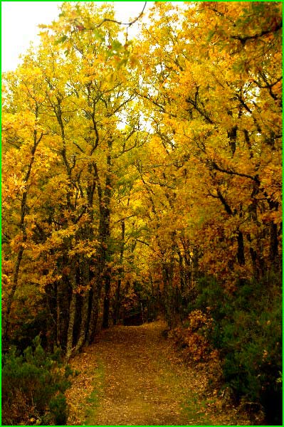 Parque Natural de Izkiz en Alava