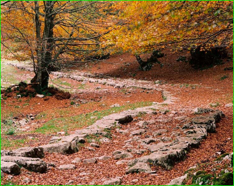ruta Arantzazu - Gorostiarango kortarria en Guipúzcoa