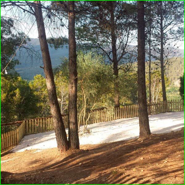 Arañuel en Castellón