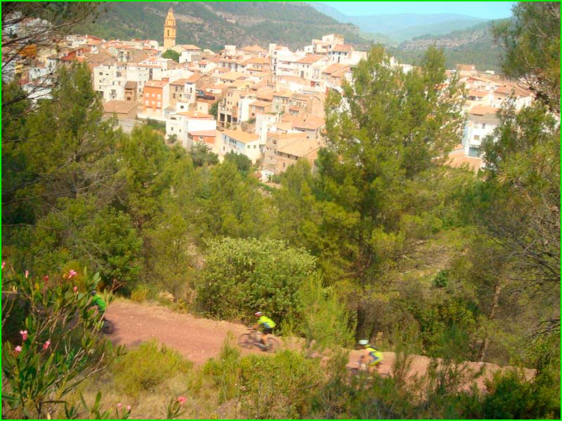 Arañuel en Castellón