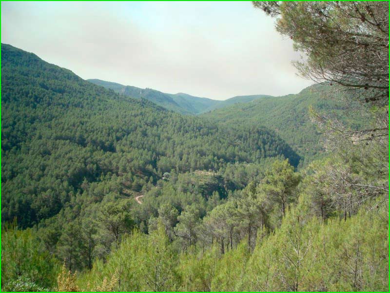 ruta por Arañuel, Castellon