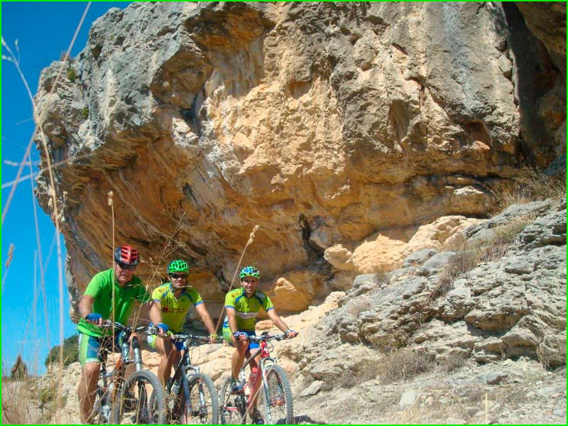 Arañuel en Castellón