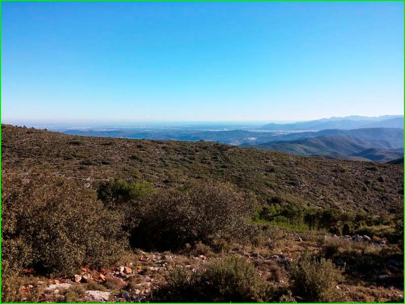 ruta Araya - Pico Pedrera del Xuferi en Castellón