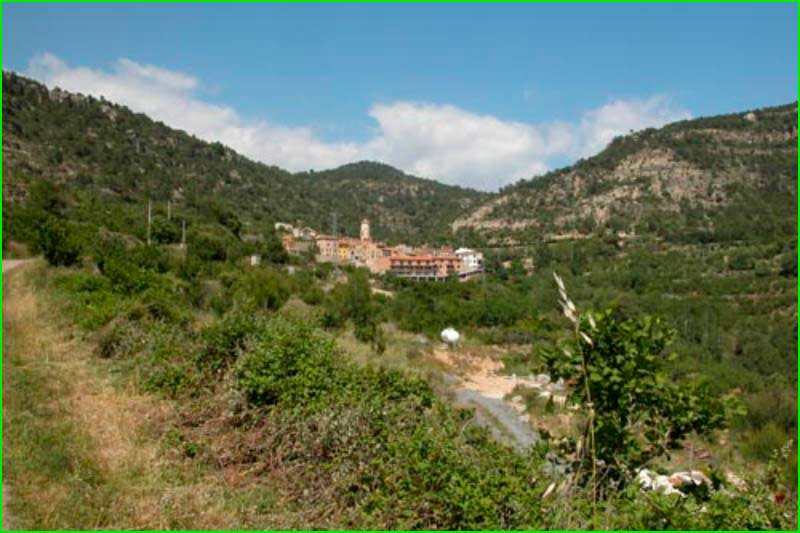 Arbolí en Tarragona