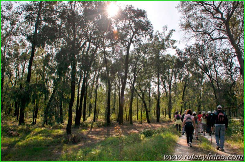 ruta Arboreto del Villar en Huelva