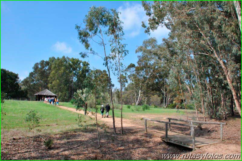 track Arboreto del Villar en Huelva