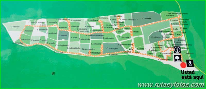 ruta por Parque Nacional de Doñana