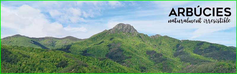 Parc Natural del Montseny en Gerona