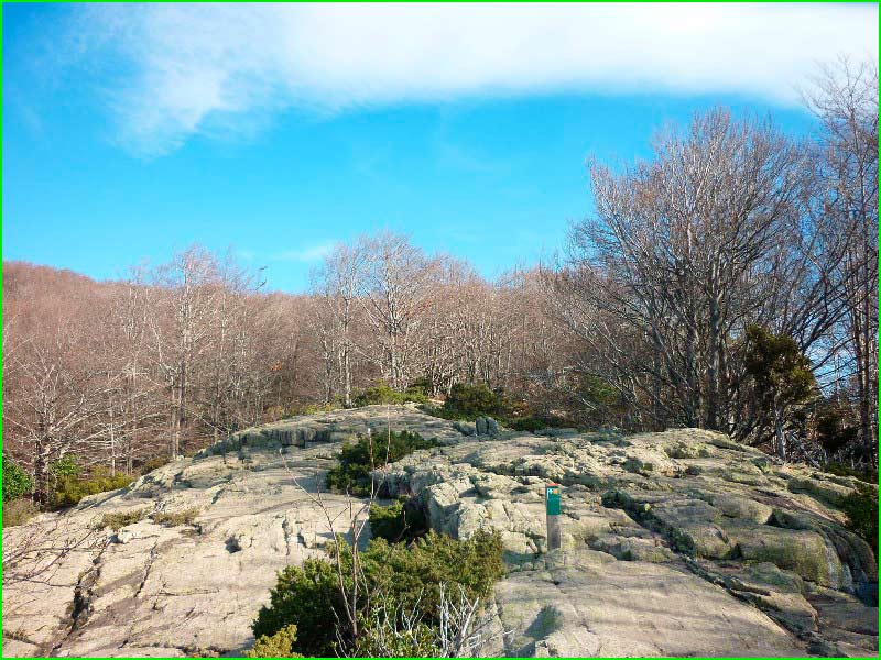 ruta Arbucias - Turó del Fitó en Gerona