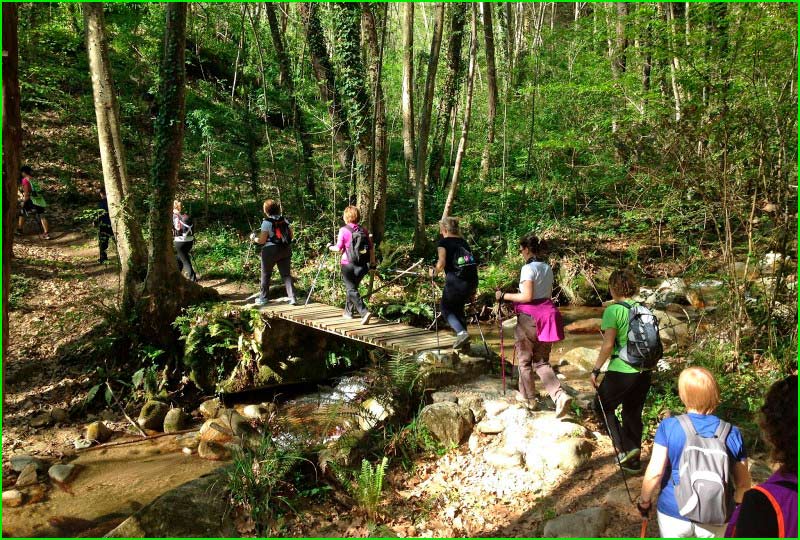 track Arbucias - Turó del Fitó en Gerona