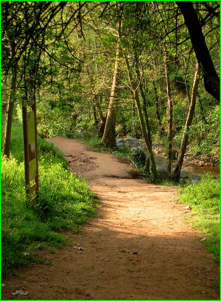 ruta por Parc Natural del Montseny