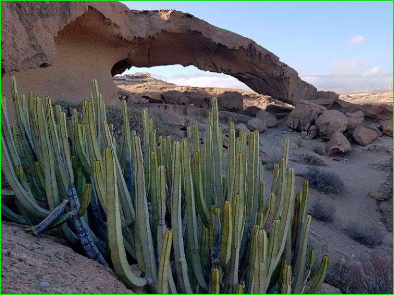 ruta por Arico, Tenerife