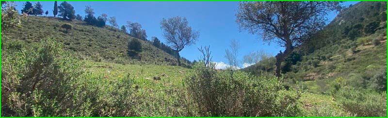 ruta Ardales - Camino de la Castaña - La Cancha - Cerro del Olivo en Malaga