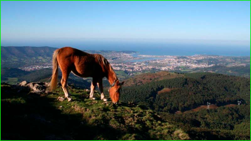 Parque Natural Aiako Harria en Guipúzcoa