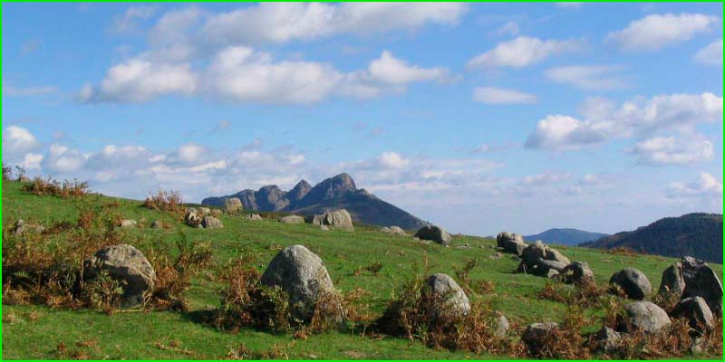 track Arditurriko Bidegorria en Guipúzcoa