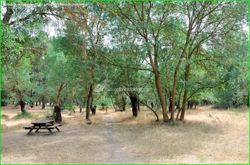 Parque Regional del Curso Medio del Río Guadarrama en Madrid